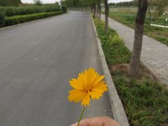 -洨河生态公园