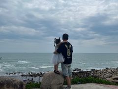 -广东惠东海龟国家级自然保护区