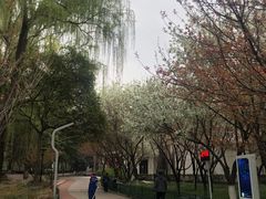 -西安市长乐公园