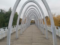 -大兴滨河森林公园