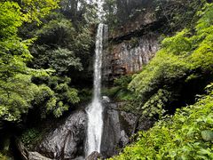 -龙苍沟森林公园