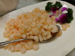 清炒虾仁-新聚丰菜馆(太监弄店)