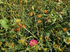 -朝阳公园游乐园