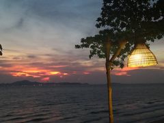 -卷心菜和避孕套餐厅(Pattaya)