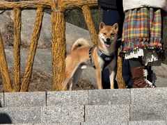 -白水寺森林公园