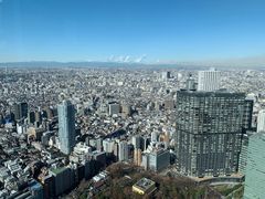 -东京都厅舍