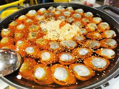 大白贝-水哥卜卜贝(东晓·胜汇里店)