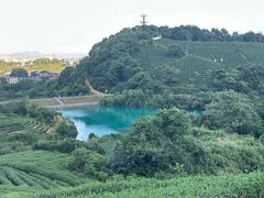 -龙坞茶村