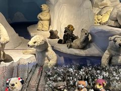 -成都泰迪熊博物馆