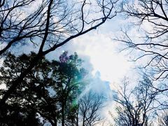 景点-老山国家森林公园