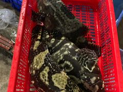 -幸福姐海鲜大排档