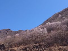 -妙峰山风景名胜区