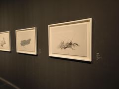 -江苏省美术馆(长江路新馆)