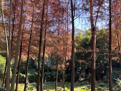 -广州市白云山风景名胜区
