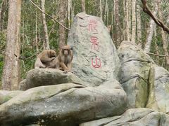 -普洱太阳河森林公园