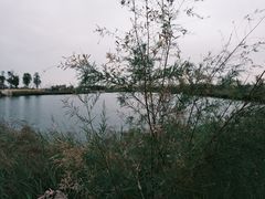 -黄沙古渡原生态旅游区