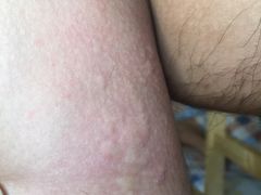 -怡莱酒店(上海大学店)