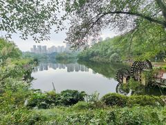 -重庆彩云湖湿地公园