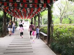 -白马涧龙池景区