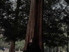 -杭州植物园