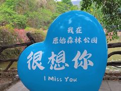 -西双版纳原始森林公园