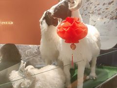 -百草滩羊清水涮羊肉·清真·宁夏盐池滩羊(莲花桥店)