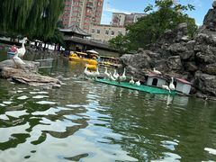 -团结湖公园