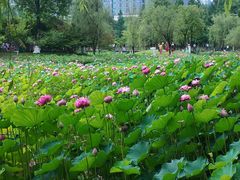 -沐仙湖湿地公园