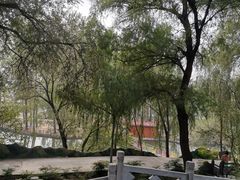 -东方巨龟苑景区