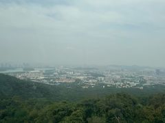 -紫金山山顶公园