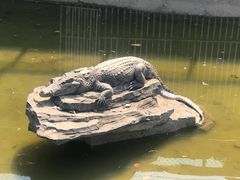 -南昌动物园