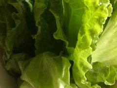 -东俞·韩式料理(院东街店)