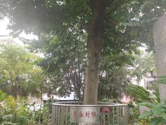 -广州神农草堂中医药博物馆