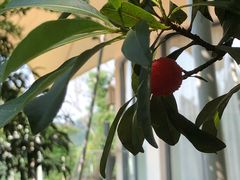 -帐篷客·溪龙茶谷度假酒店