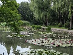 -洛阳市隋唐城遗址植物园
