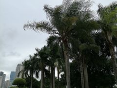 -石炮台公园