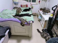 -达爱动物医院·犬猫分区·CT·复杂眼科(远洋山水分院)
