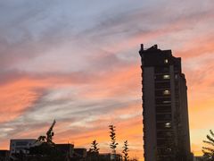 -新桥炸鸡店(新桥大街直营店)