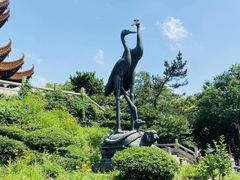 -黄鹤楼公园(黄鹤楼)