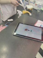 -Eureka优瑞卡儿童主题乐园(合生汇购物中心店)