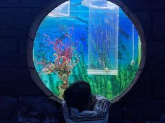 -左海海底世界