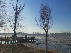 -天津东丽湖风景区