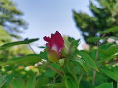 -大钟寺古钟博物馆