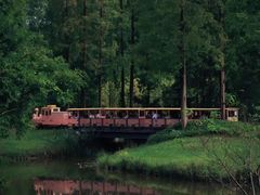 -黄海国家森林公园