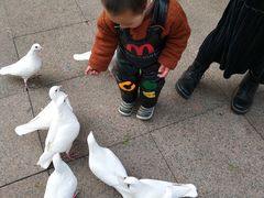 -世园罗曼小镇