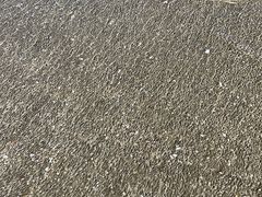 -台山黑沙湾海浴场