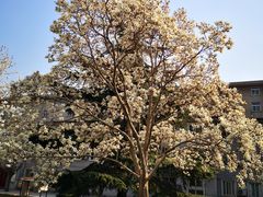 -山东师范大学(千佛山校区)