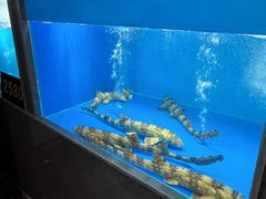 -黑木原精致料理·铁板烧