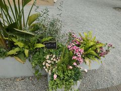-苏州上方山国家森林公园