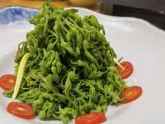 巧拌兰花苗-长兴菜馆(高桥店)